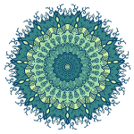 Baltimore wellness practitioner