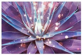 A Great Awakening Is Upon Us Divine Frequency